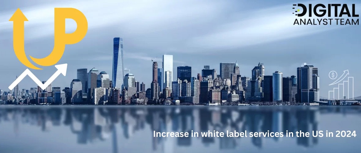 Why There is a Rise of White Label Services in the US in 2024